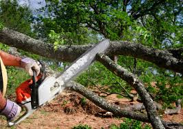 Best Lawn Irrigation Installation and Maintenance  in Cooper City, FL