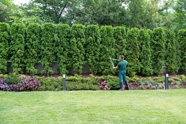 Best Sod Installation  in Cooper City, FL