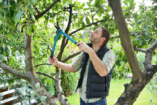 Best Lawn Watering Services  in Cooper City, FL